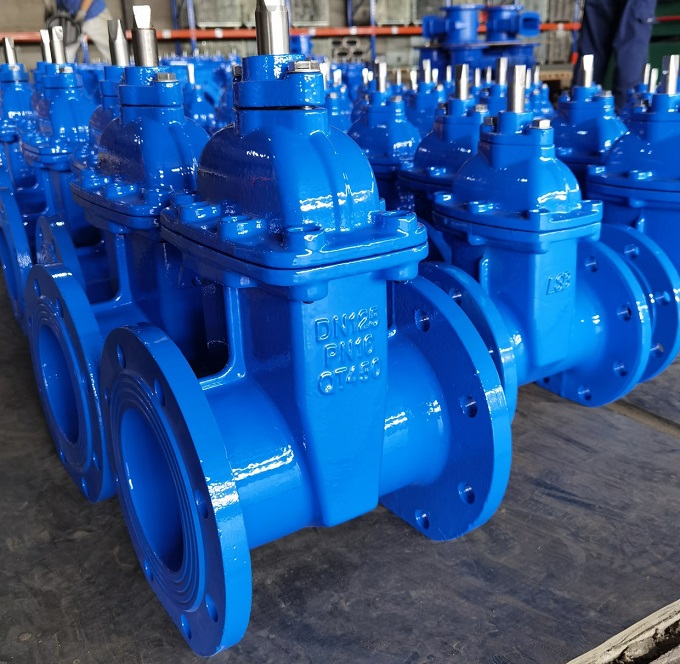 BS 5150 resilient seated gate valve to UK.