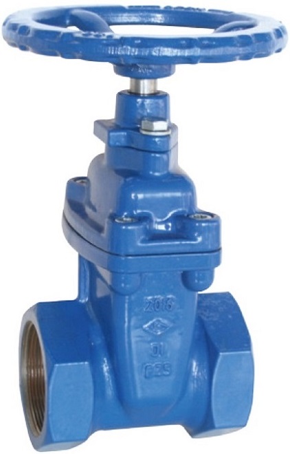 BS 5150 epoxy coated threaded gate valve.