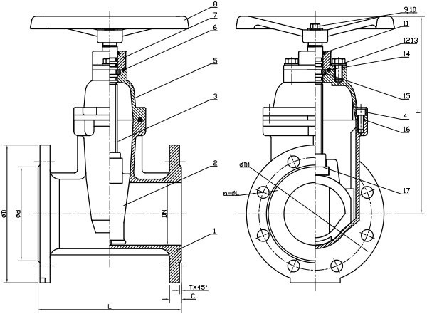 Drawing of BS 5163 gate valves