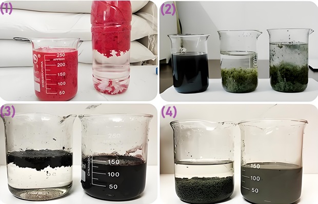 Flocculation and coagulation effects of PAM.