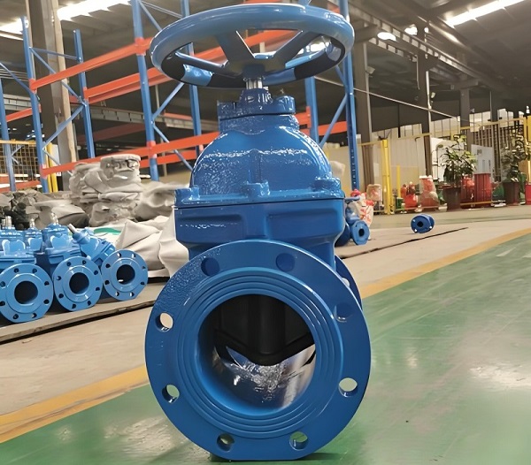 BS 5163 NRS resilient seated gate valve.