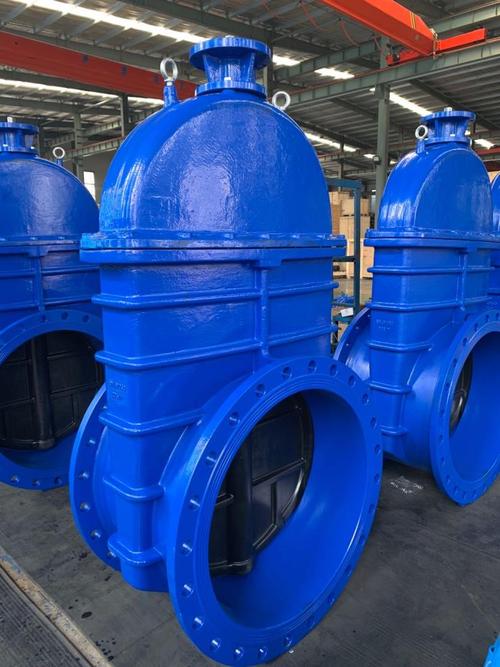 BS 5163 resilient seated gate valves